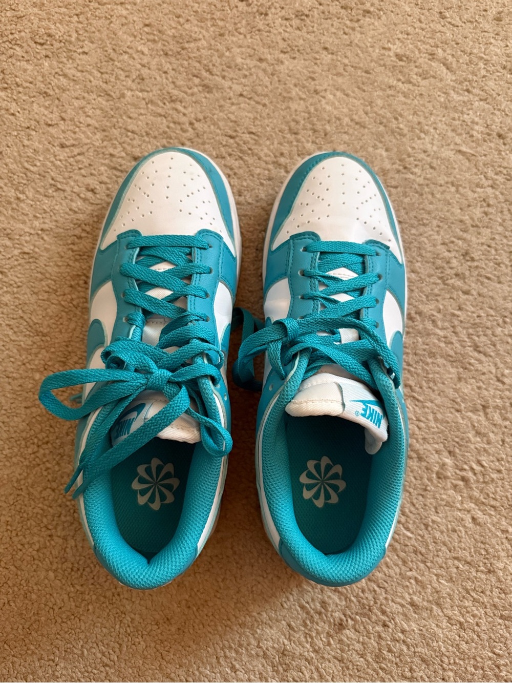 Nike Teal and White Low-Top Sneakers